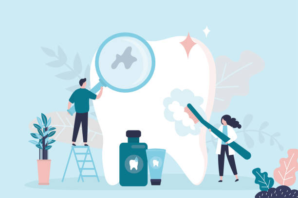 Best Traditional Braces  in Savage, MN